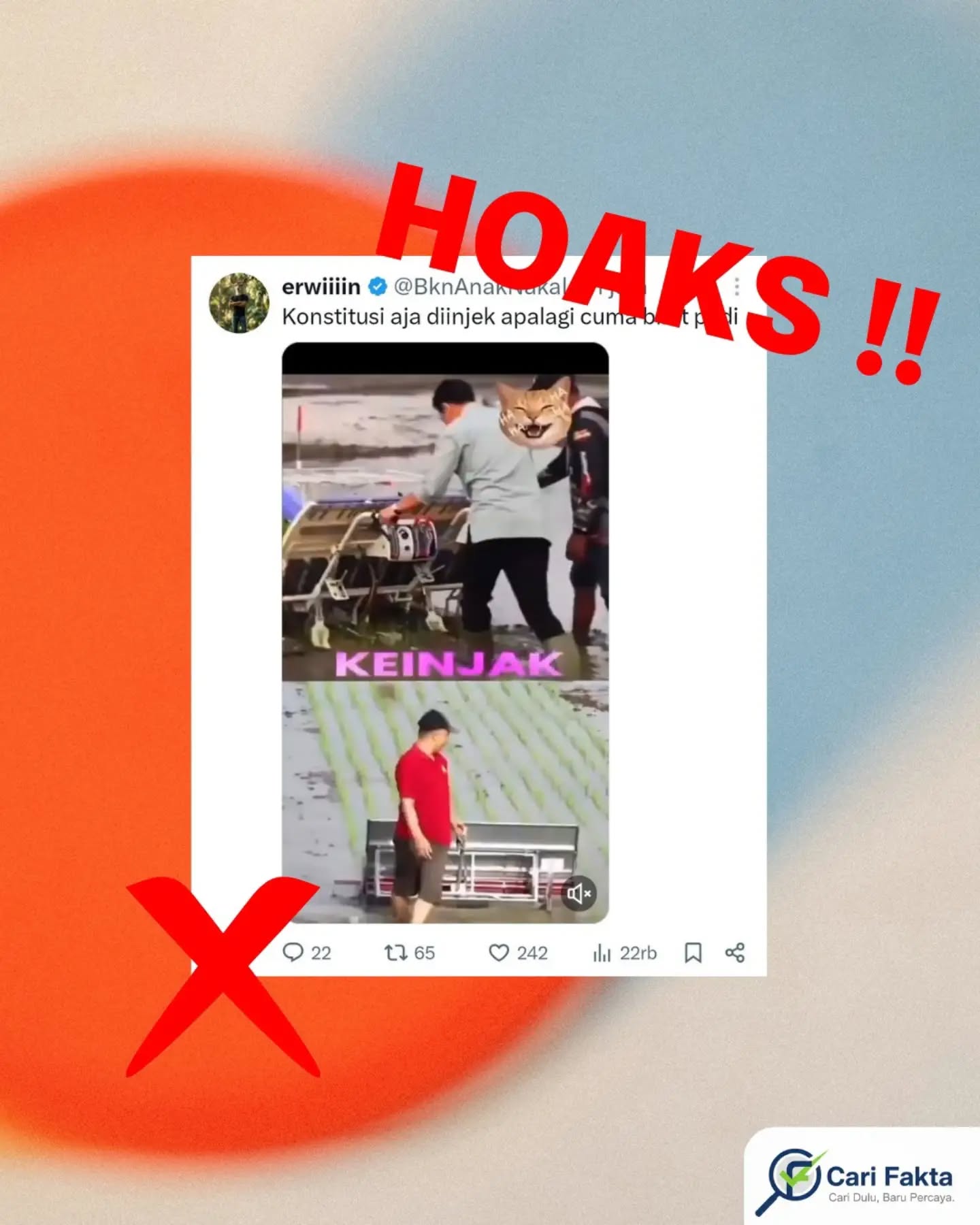 Hoaks: Video Gibran “Injak Bibit Padi”